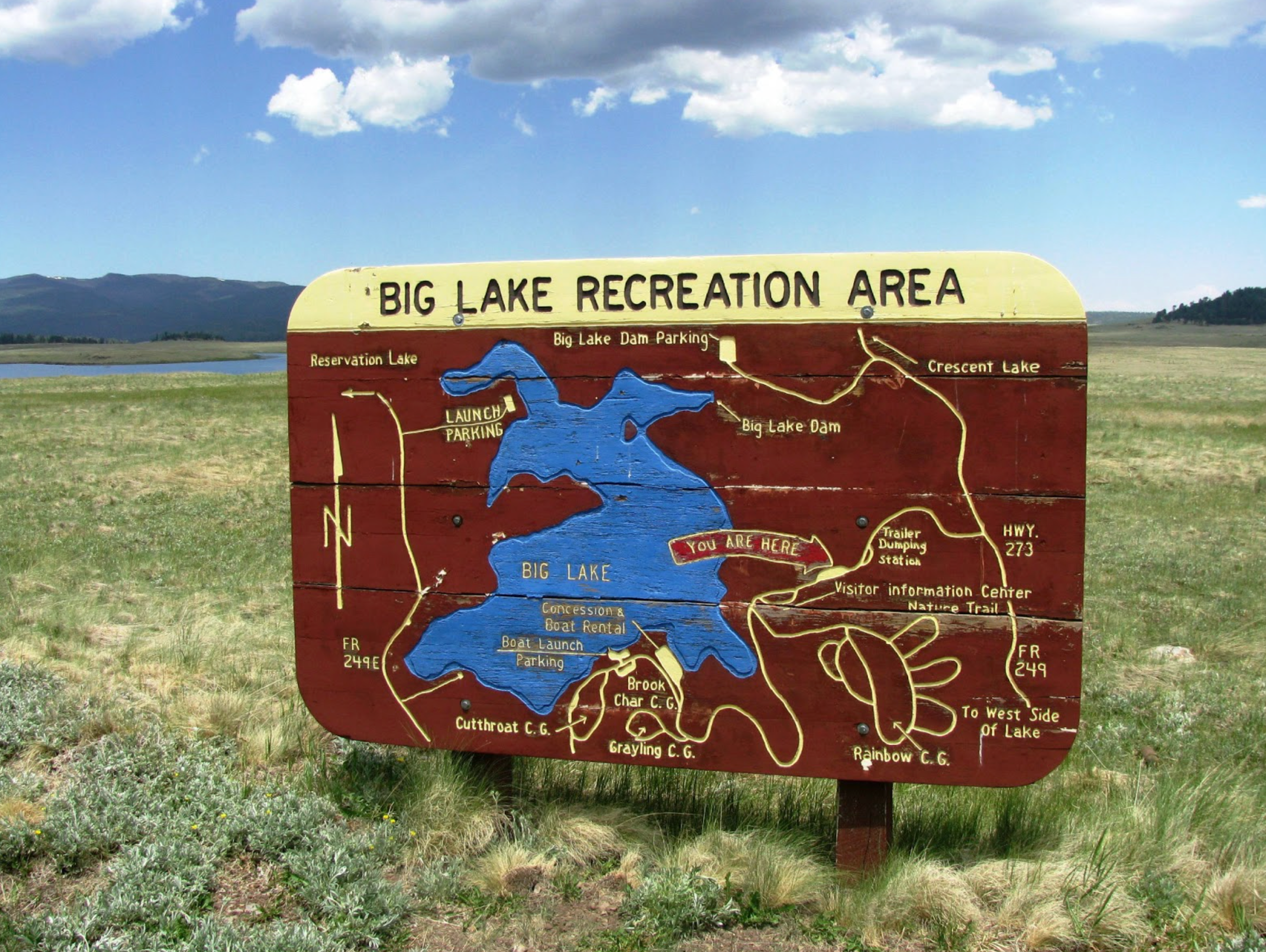 credit https://azbugztwo.blogspot.com/2013/07/white-mountain-escape-big-lake.html