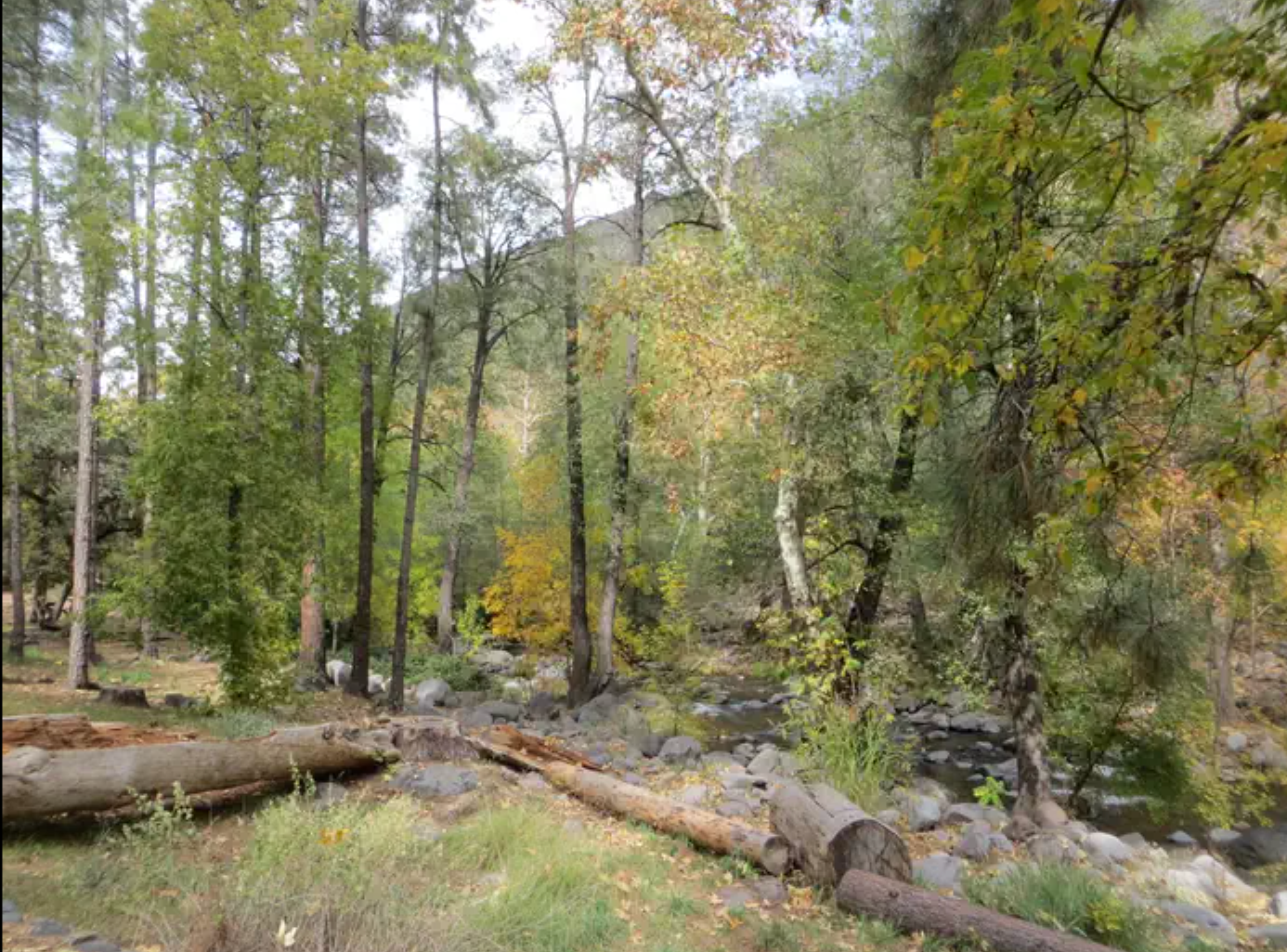 photo of manzanita campground in sedona