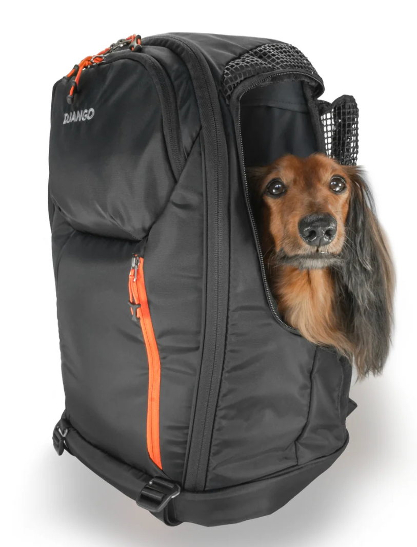 backpack carrier for dogs for hiking photo