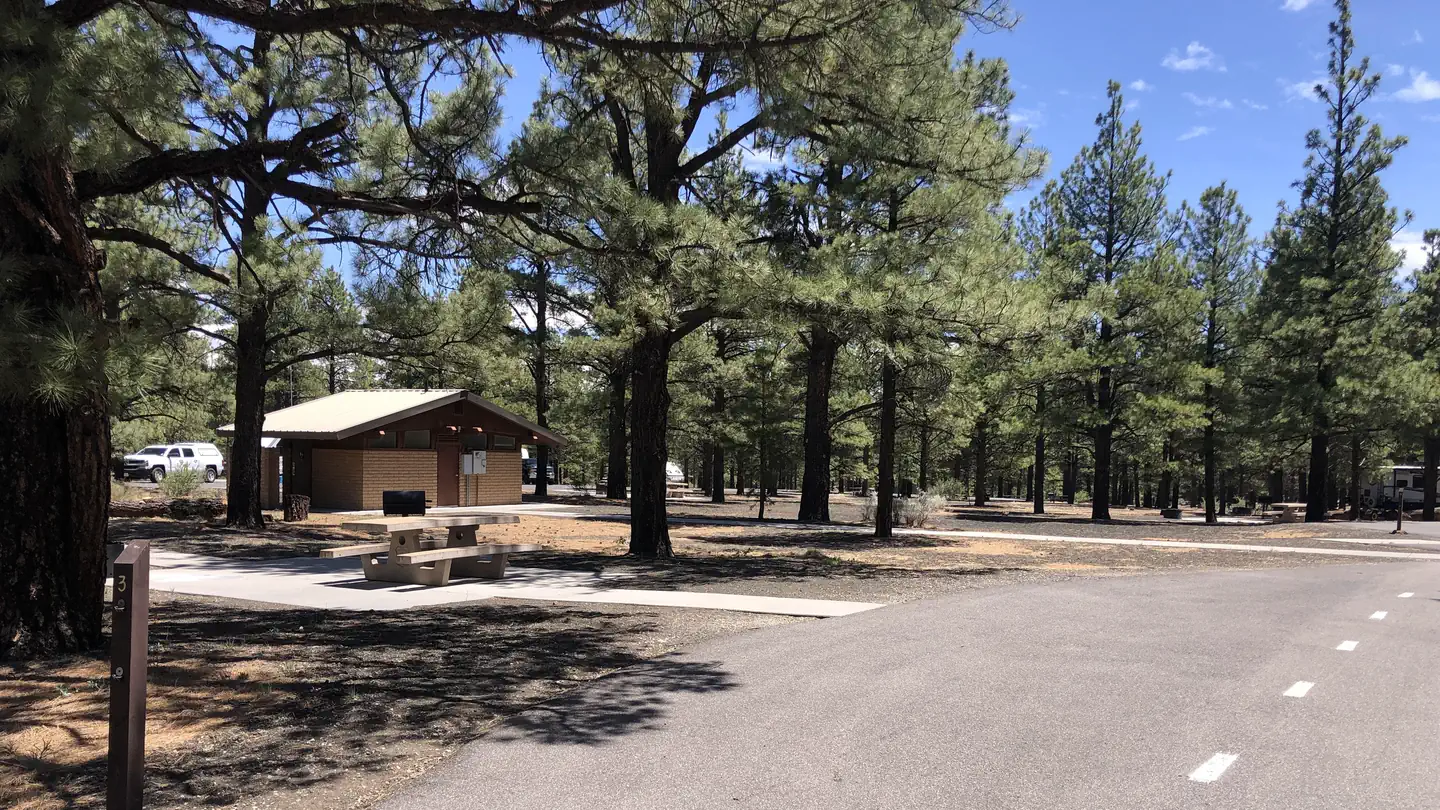 photo of bonito campground flagstaff