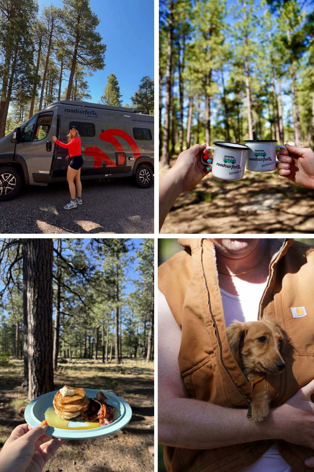 photos of mogollon campground