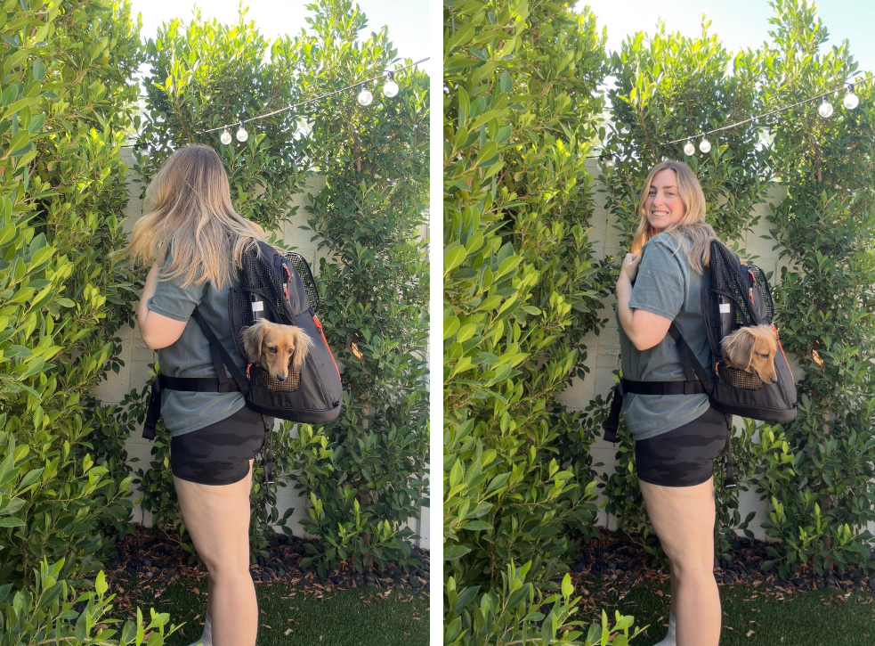 girl hiking with a small dog in a sling