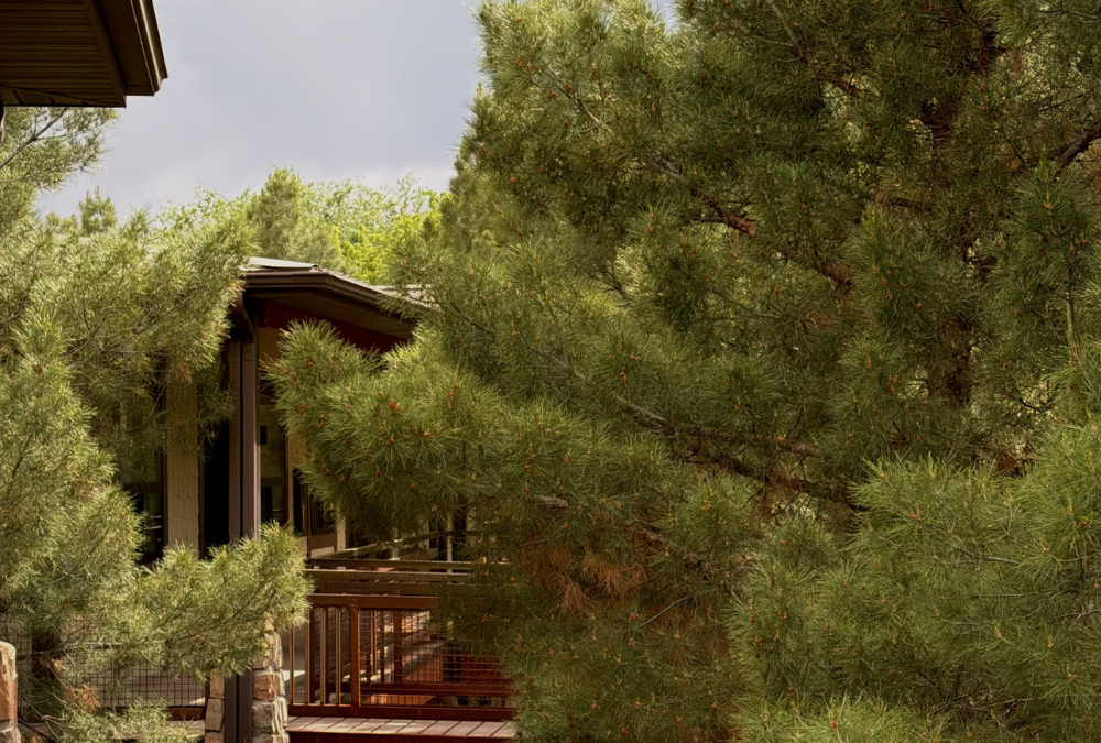 Best Places to Stay Near Zion National Park: Springdale, Kanab & Beyond