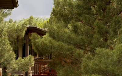 Best Places to Stay Near Zion National Park: Springdale, Kanab & Beyond