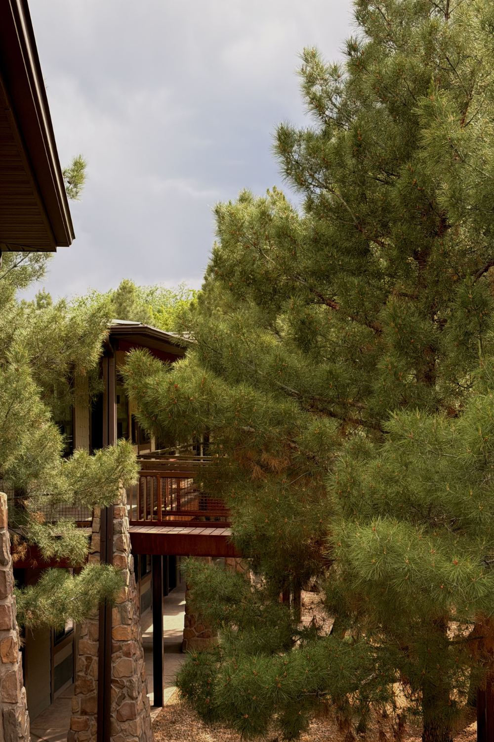 red cliffs lodge zion lodge near zion national park