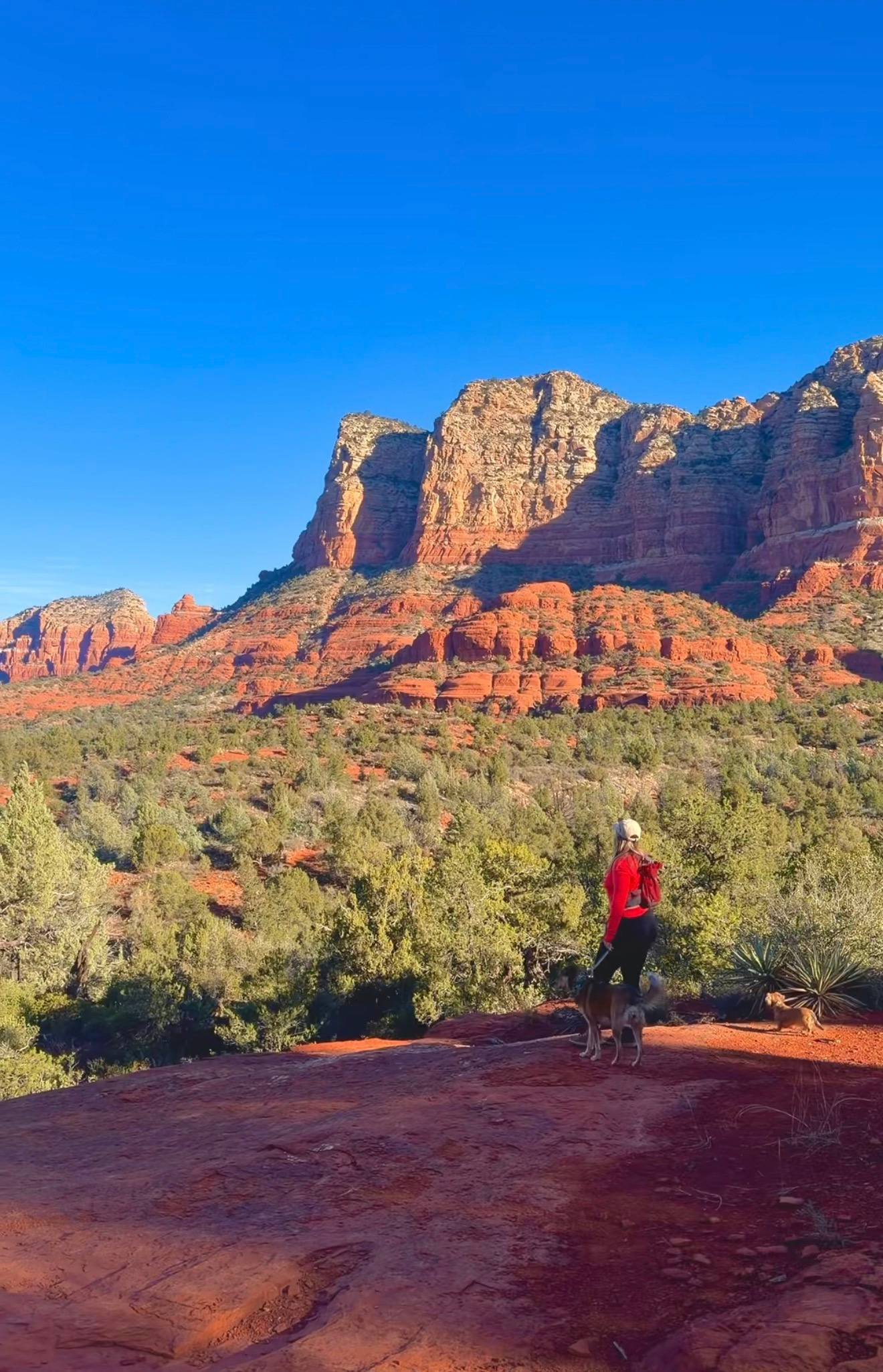 photo of a girl in a red shirt with two dogs hiking in sedona