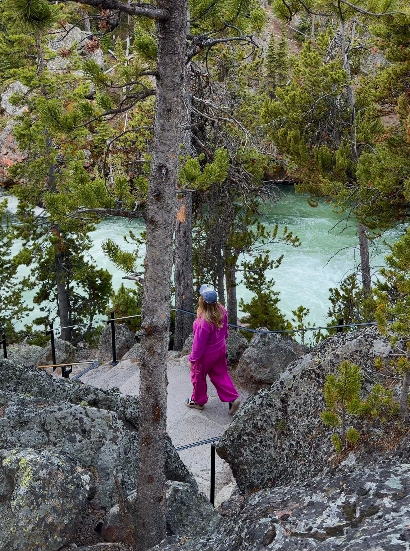 girl in pink outfit in the forest of yellowtone