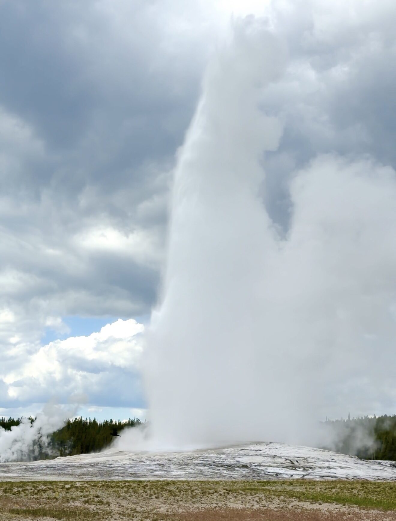 old faithful geyser in yellowstone national park