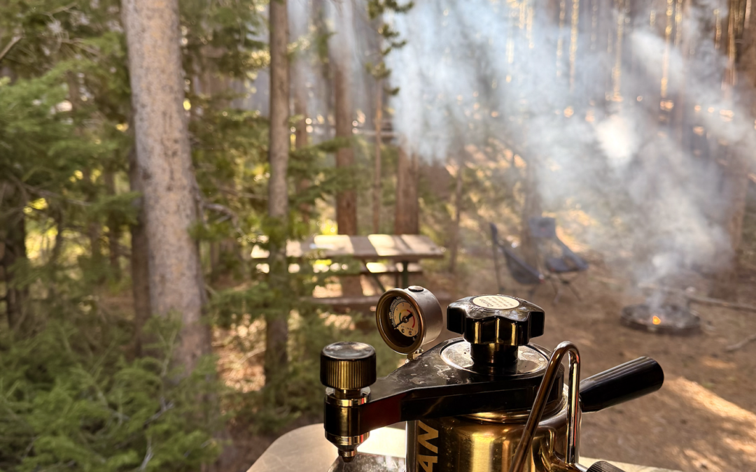 Where to Stay in Yellowstone National Park (By Area of the Park)