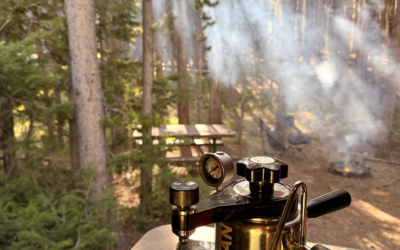 Where to Stay in Yellowstone National Park (By Area of the Park)