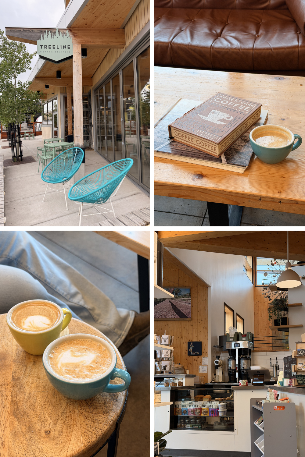 Treeline Coffee Roasters in Bozeman, Montana, featuring specialty lattes, outdoor patio seating, and a bright modern coffee shop interior.