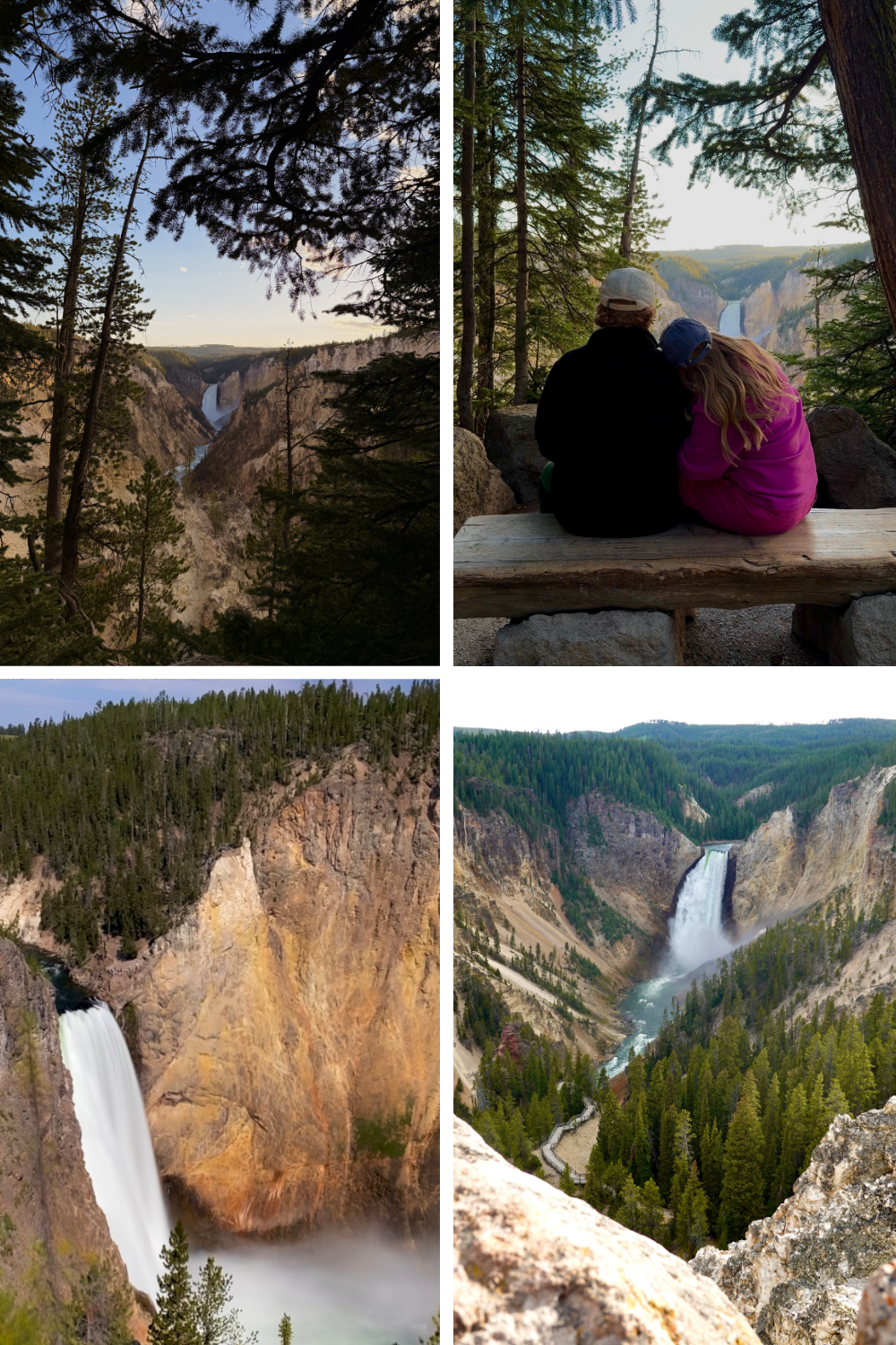 Views of the Grand Canyon of Yellowstone and Lower Falls from multiple overlooks, including Artist Point