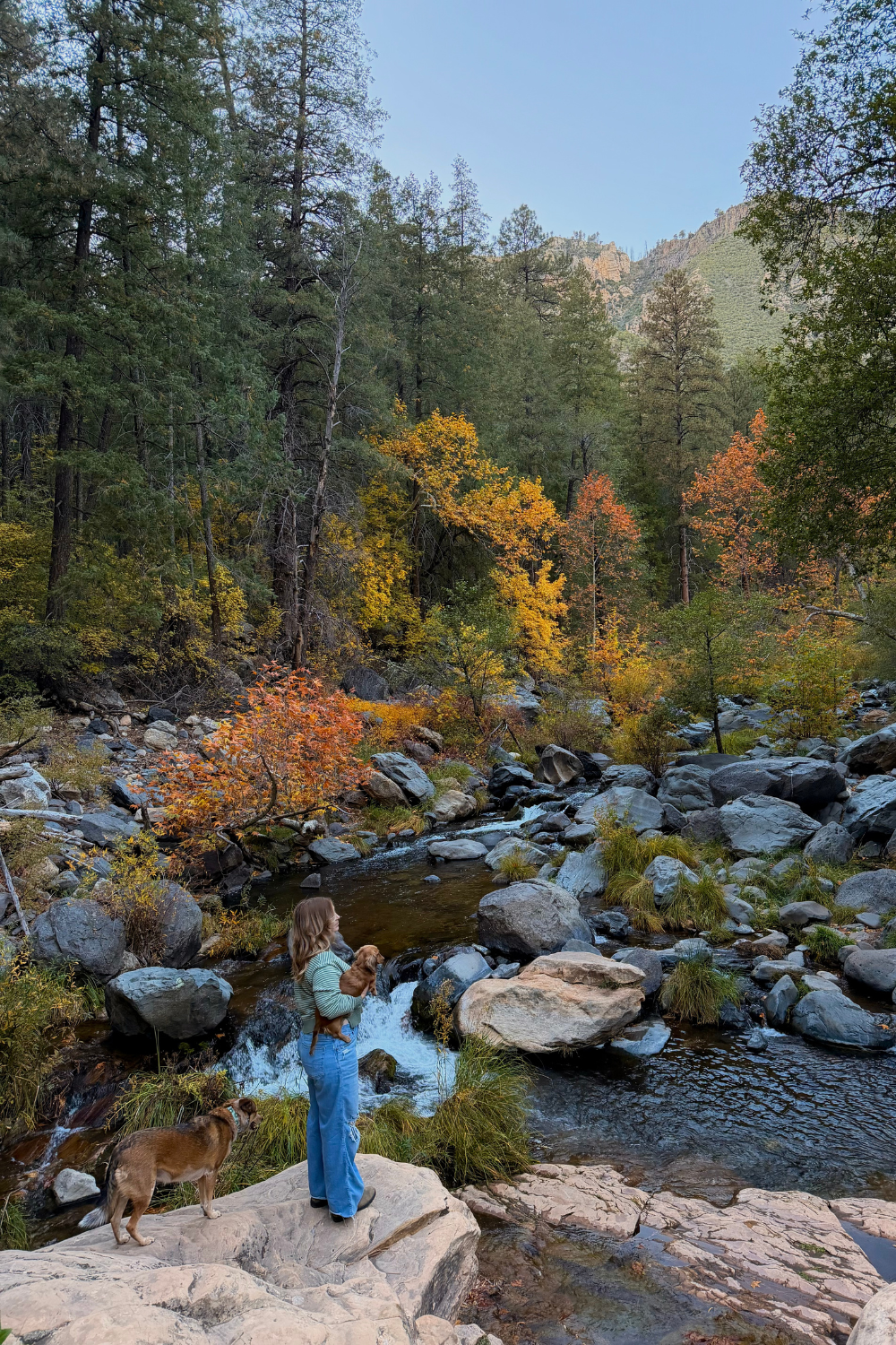 photo of a girl and dogs standing in front of a creek with fall colors