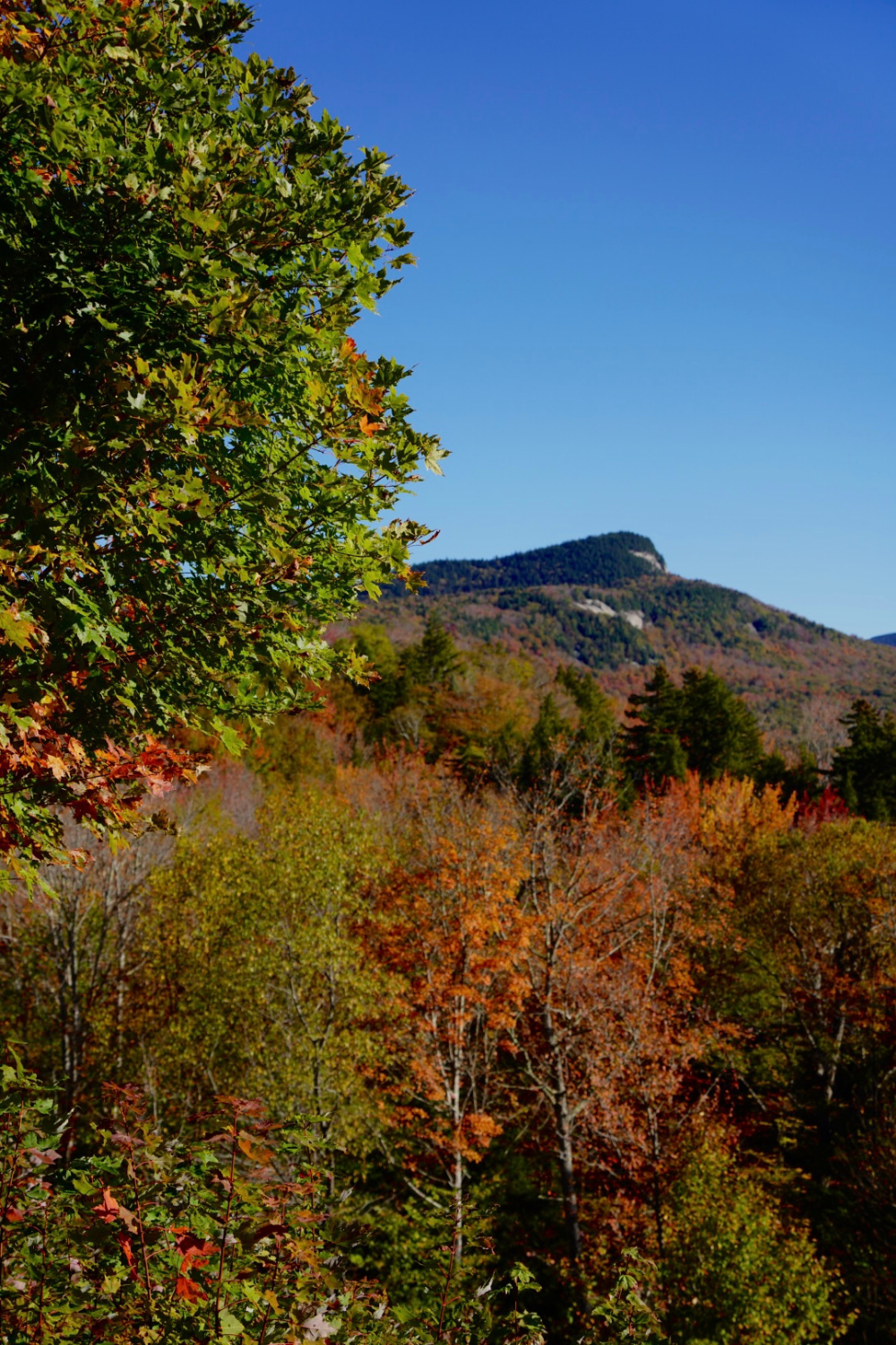 fall foliage in front of a mountain on the kancamagus highway