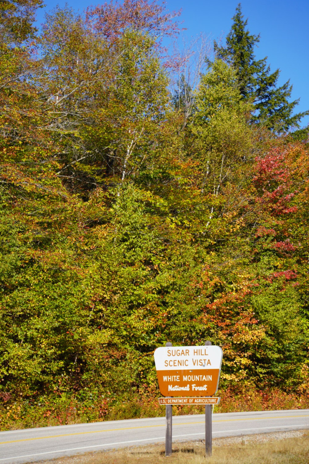 viewpoint on the kancamagus highway