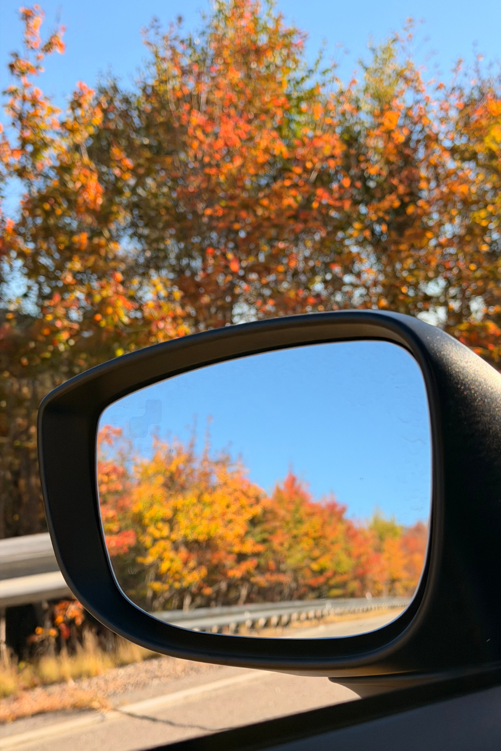 photo of a car window overlooking a highway with fall colors