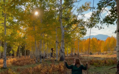How to Find the Aspen Corner Swing in Flagstaff