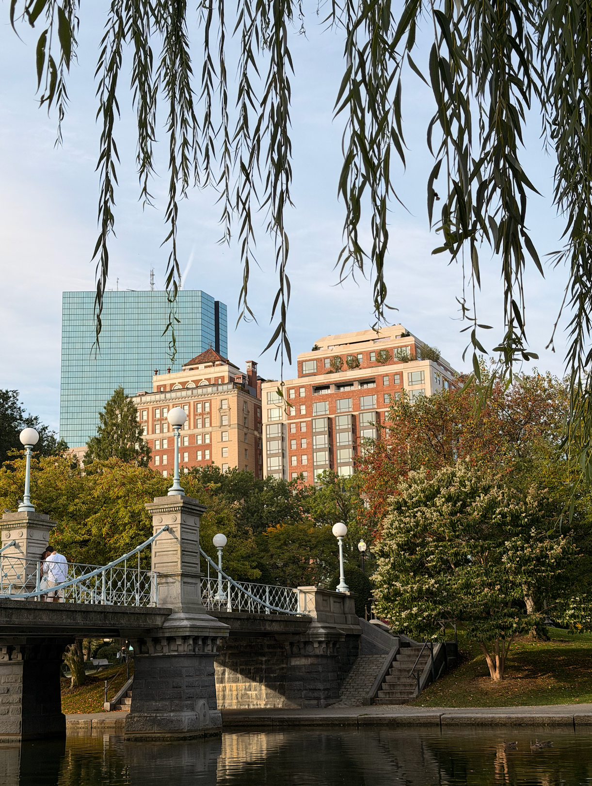 skyline at boston public garden