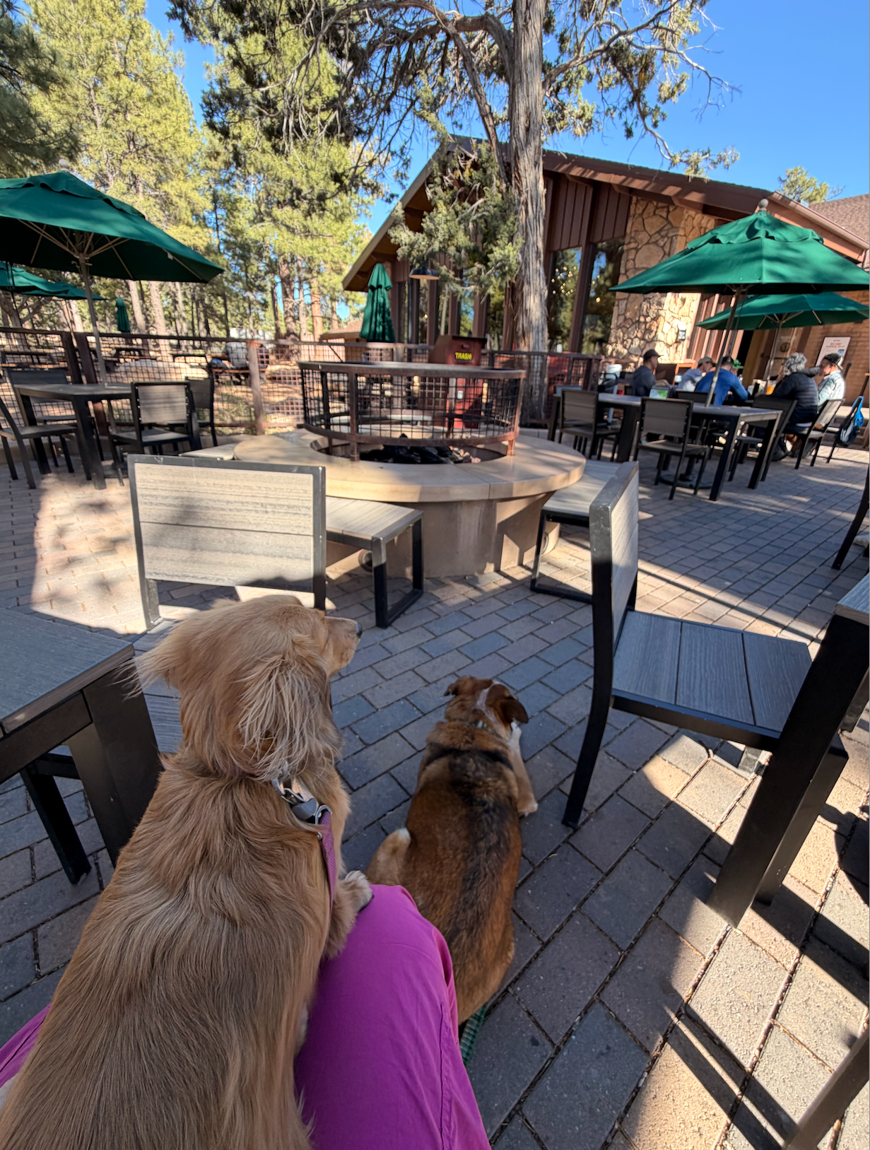 dinner at yavapai lodge at grand canyon