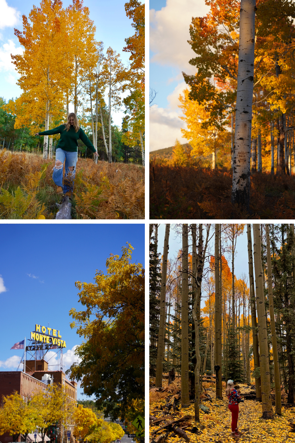 photos of fall colors in flagstaff arizona